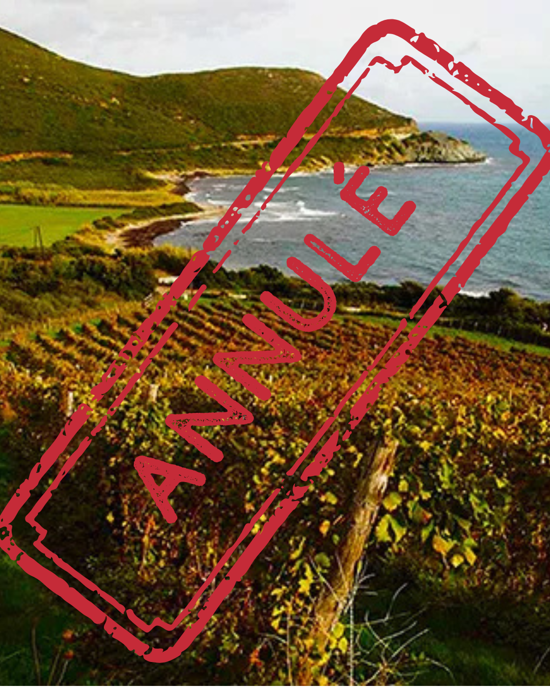 La Corse terre viticole