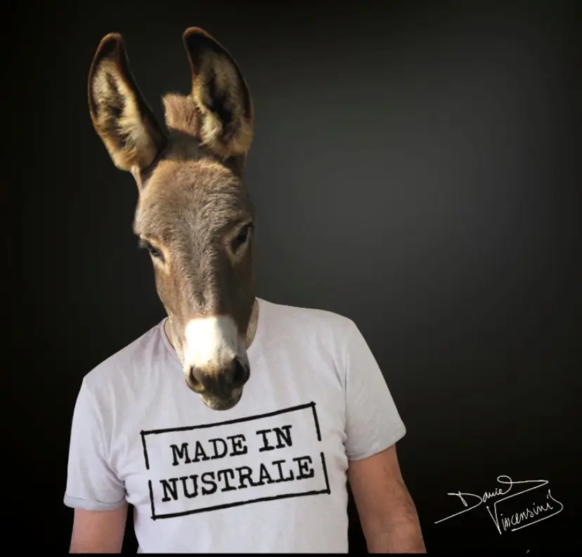 Made in nustrale - Daniel Vincensini