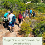 Les plantes du maquis Corse - Sortie balade et Atelier à Figari