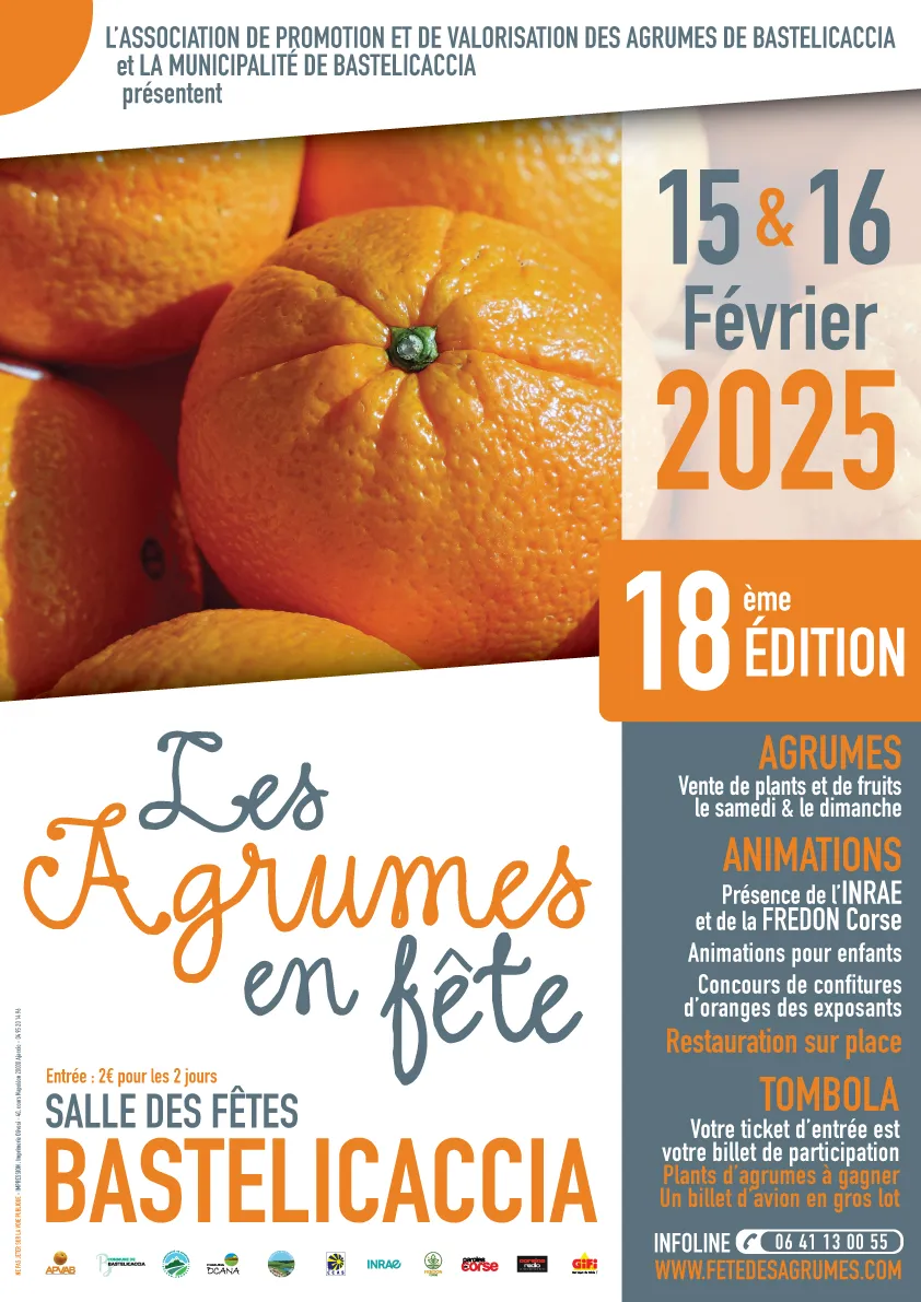 Les agrumes en fêtes