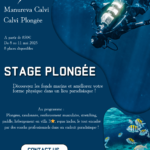 Stage Plongée au Manureva