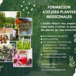Journée Formation Plantes Médicinales