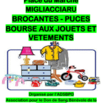 Vide Grenier -Marché aux Puces