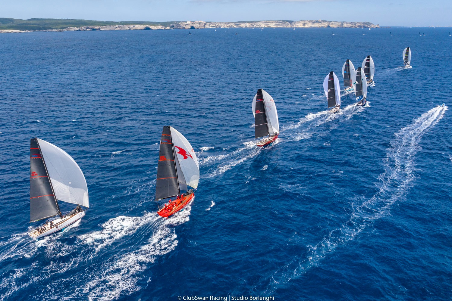 Bonifacio Swan Challenge