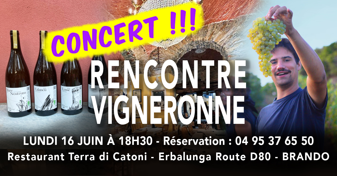 Dégustation de vins et concert
