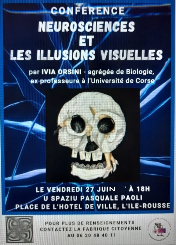 Conférence - Neurosciences et les illusions visuelles