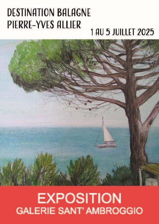Exposition : Pierre-Yves Allier