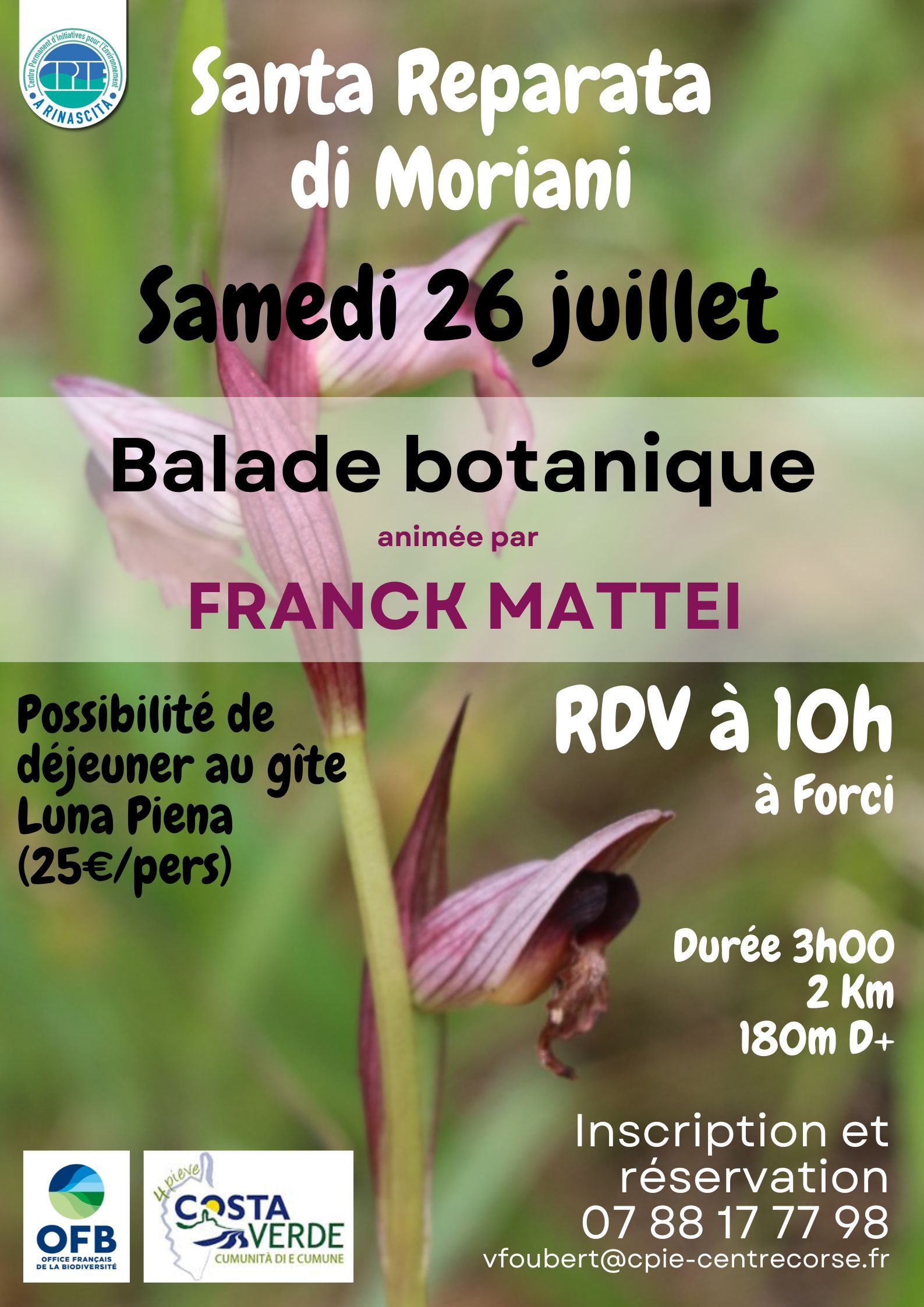 Balade botanique