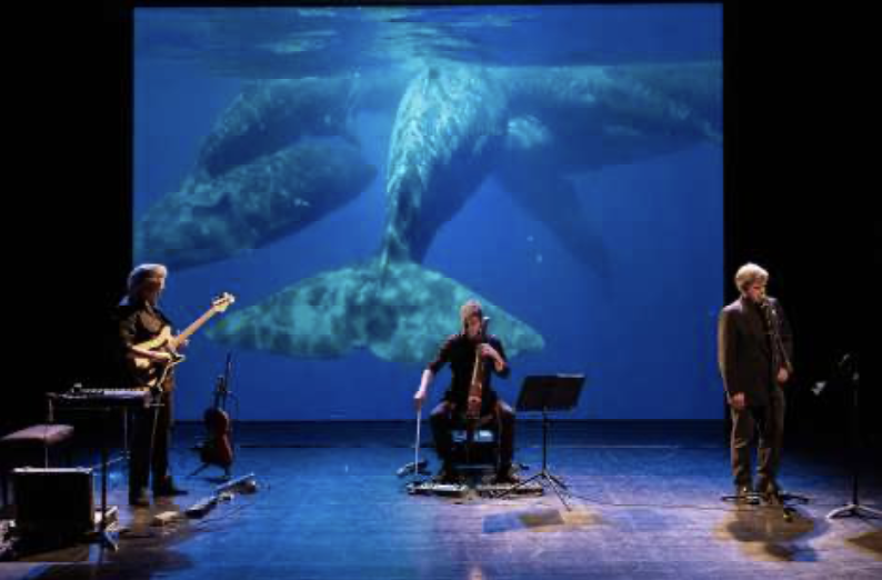 Le retour de Moby Dick - spectacle immersif
