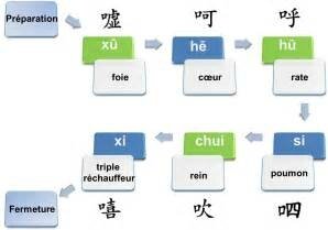 STAGE DE QI GONG - Liu Zi Jue ou les 6 Sons Thérapeutiques