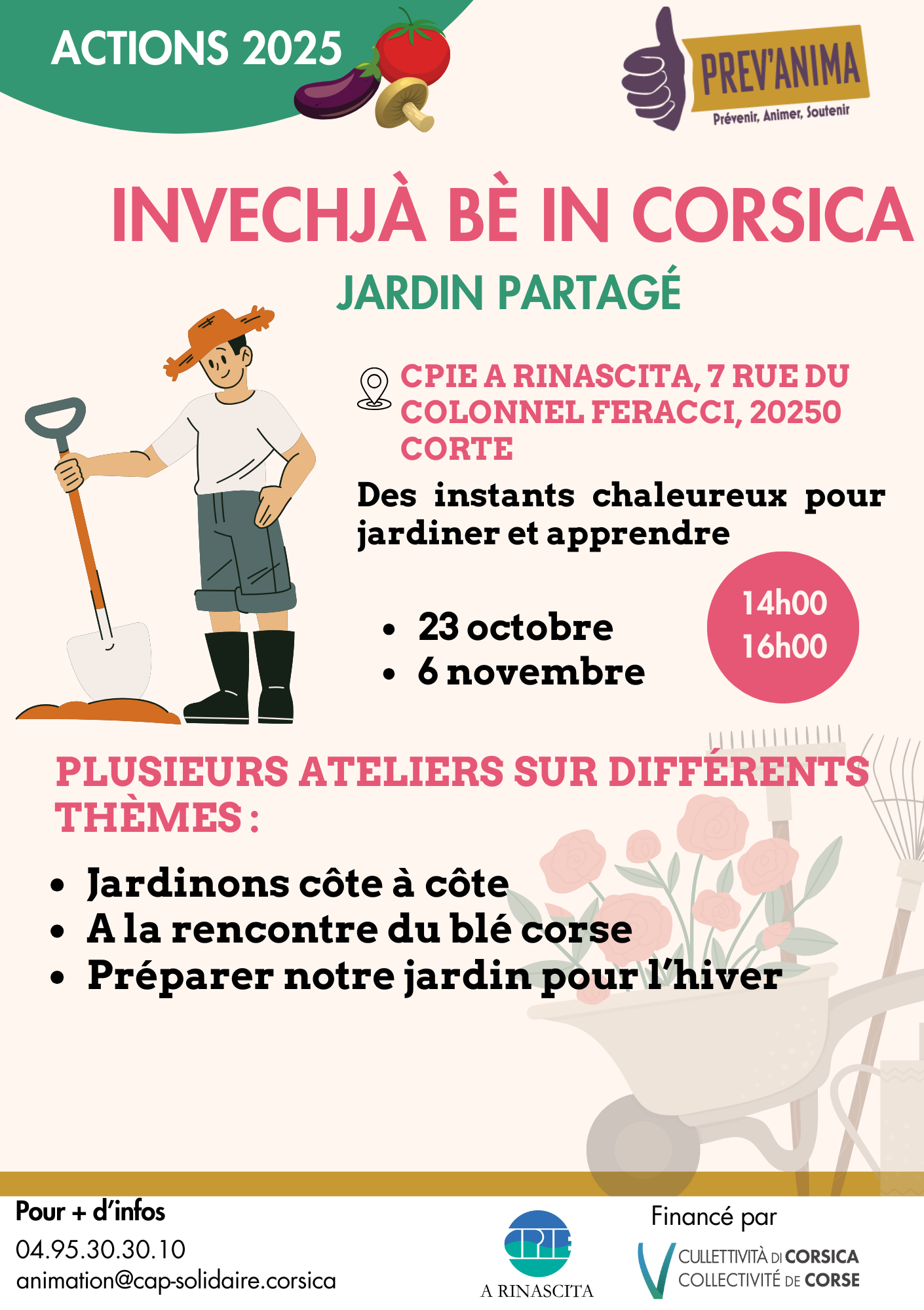 Jardin partagé