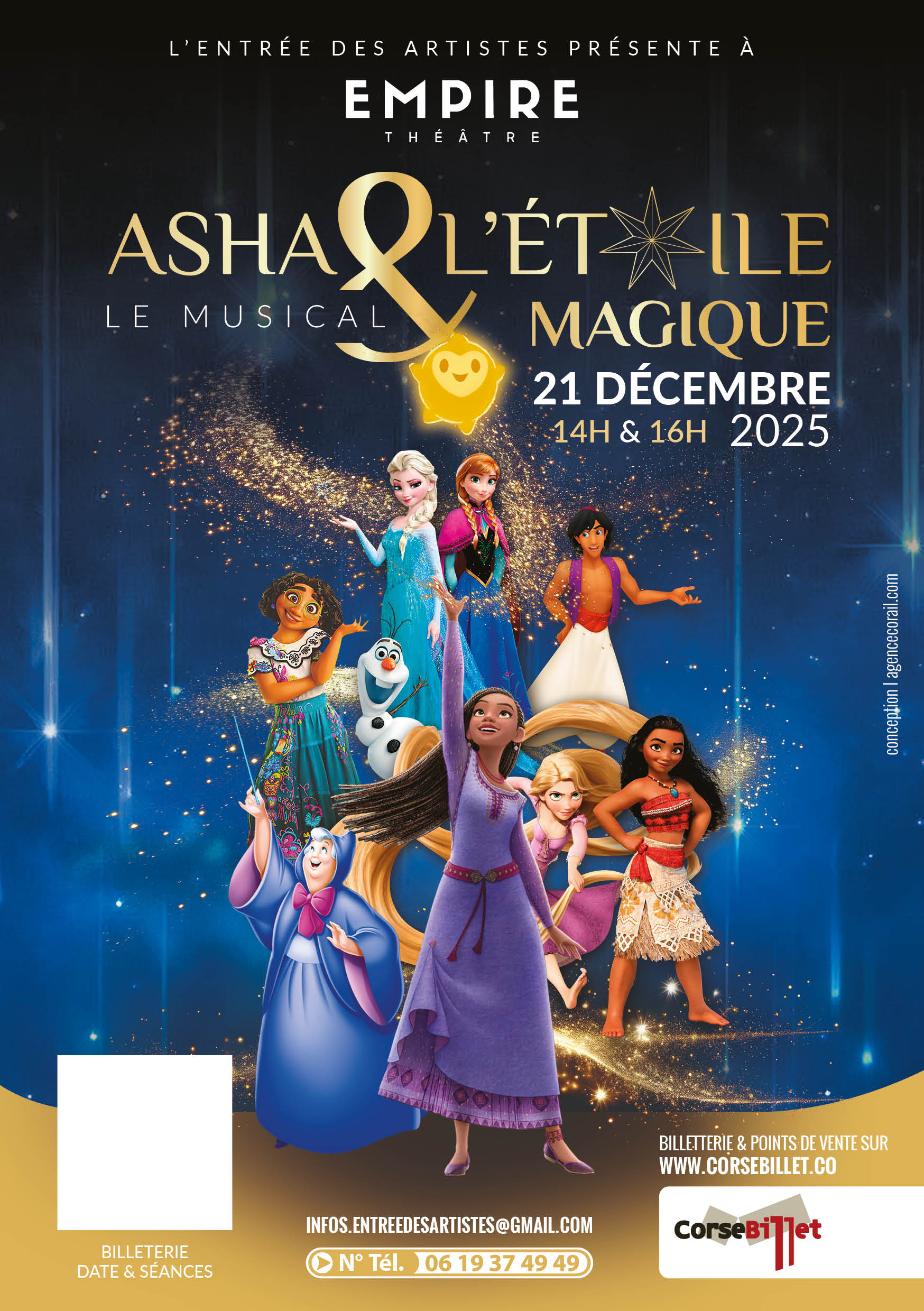 Asha et l'étoile magique (Jeune public)