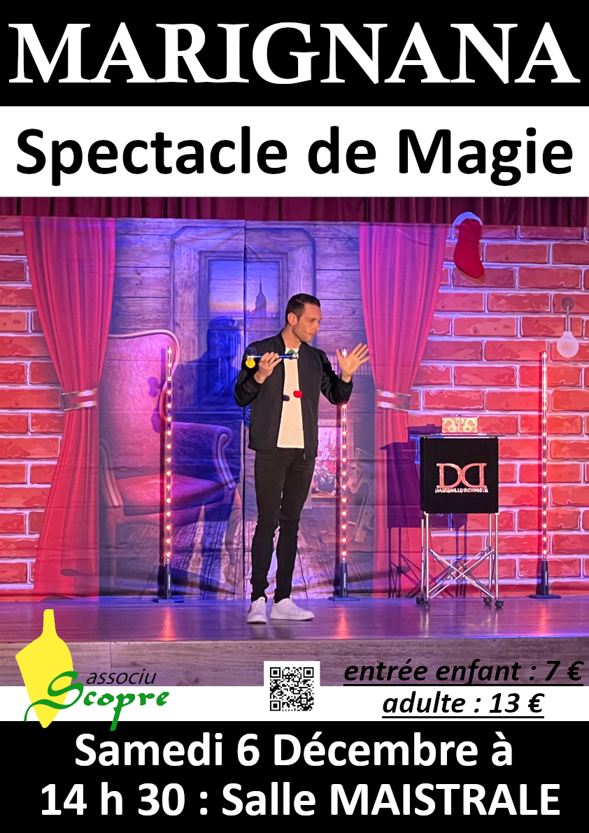 Damien Dubi : "La Magie de Noël"