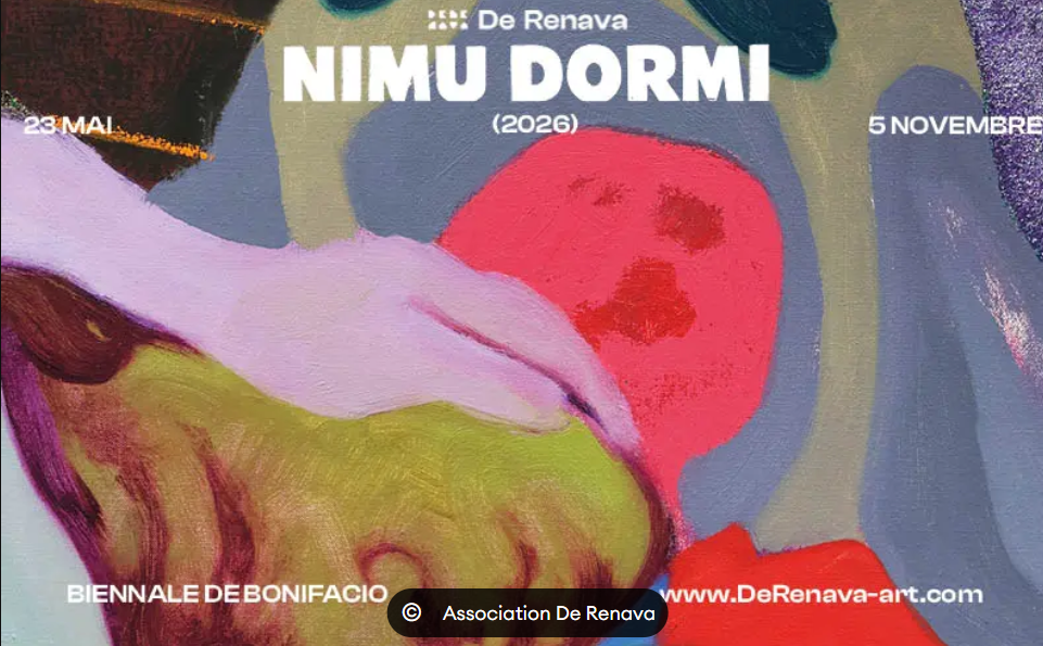 Biennale De Renava : Nimu Dormi