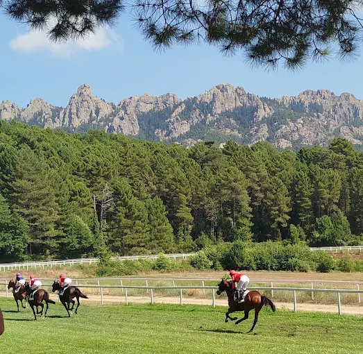 Courses Estivales à l'hippodrome de Viseo
