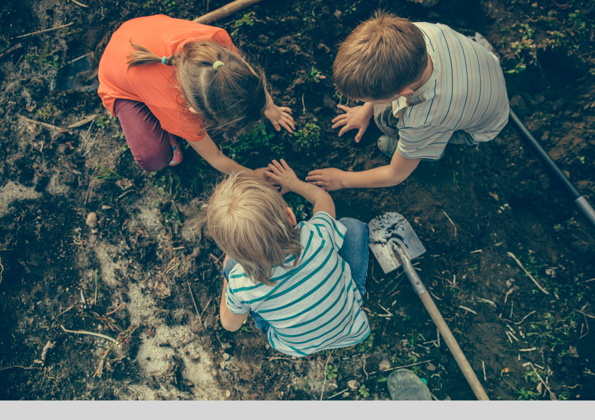 Atelier enfants "Jardin de semences"